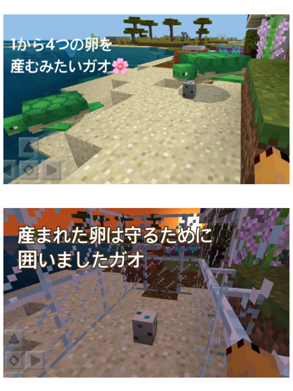 126頁 番外 1 5アプデ 拠点村をドラウンドから保護 気になる新mobウミガメについて 子亀が生まれるまで見守ったよ Nohohon Minecraft 126頁 番外 1 5アプデ 拠点村をドラウンドから保護 気になる新mobウミガメについて 子亀が生まれるまで見守ったよ Nohohon Minecraft