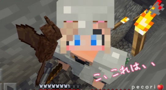 ２２頁 経験値トラップづくりのはずが コウモリ捕獲作戦 Nohohon Minecraft