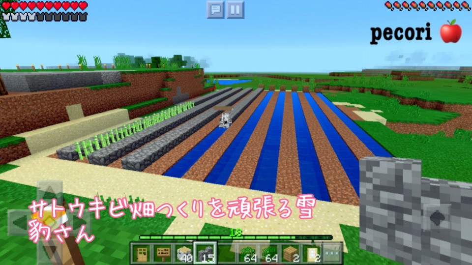 １１頁 整地と伐採場とサトウキビと雪豹さん Nohohon Minecraft