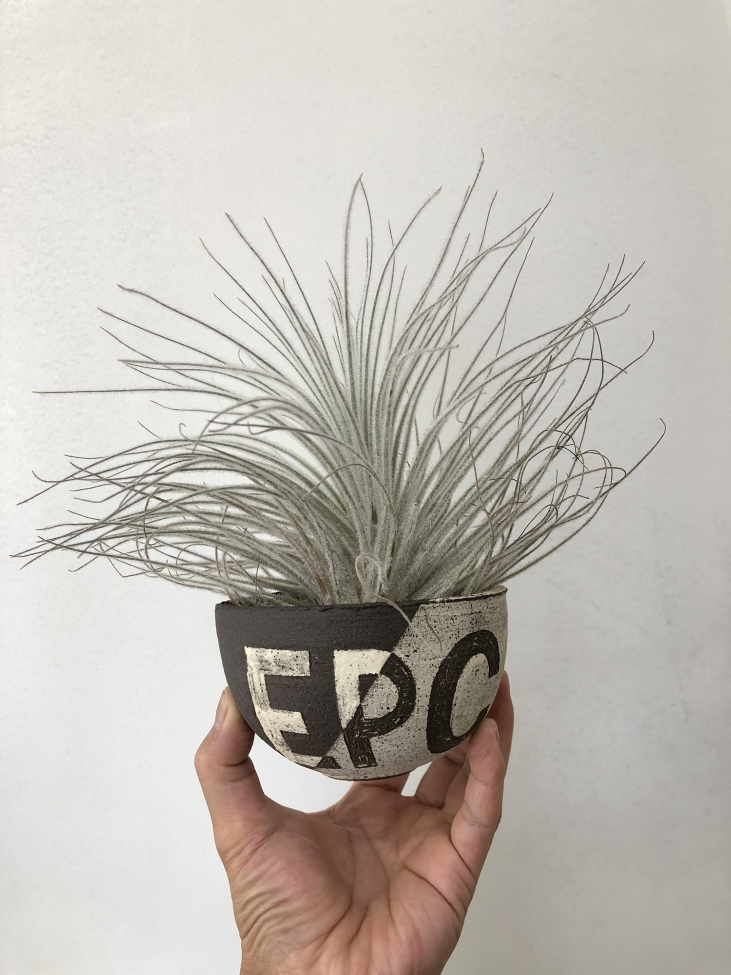 BLOG : ページ9 | Plants and candle shop LILWA BLOG : ページ9 | Plants and candle shop LILWA