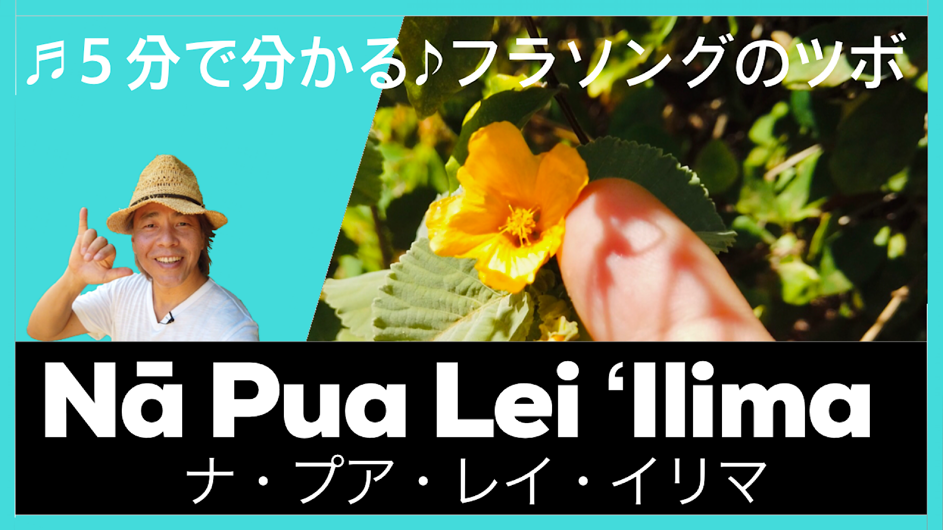 Na Pua Lei ʻilina ナ プア レイ イリマ フラダンサーが知っておくべき10項目 よしみだいすけ Official Website