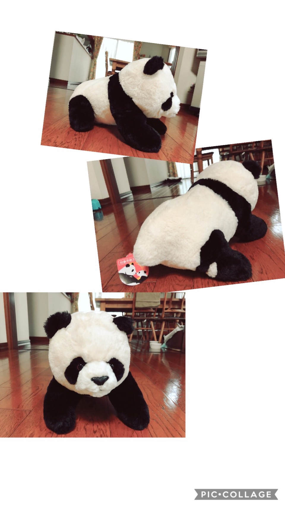 キレイに ていねいに つまだ 習字教室