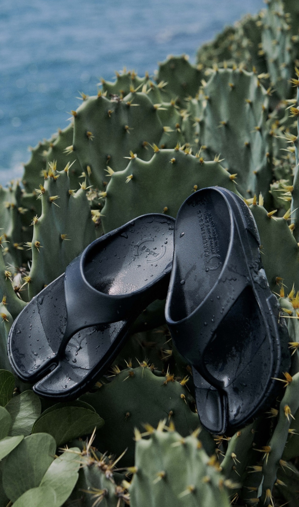 楽天市場】2025春夏新作 ペイズ PAES FLIP FLOP Sandal 厚底