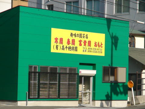 ご案内 | 東洋蘭専門店（有）高千穂興園