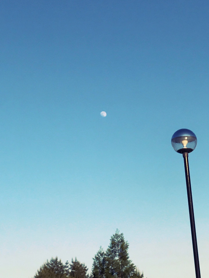 白夜月 若年性アルツハイマーの母と胃ろう造設からの日々