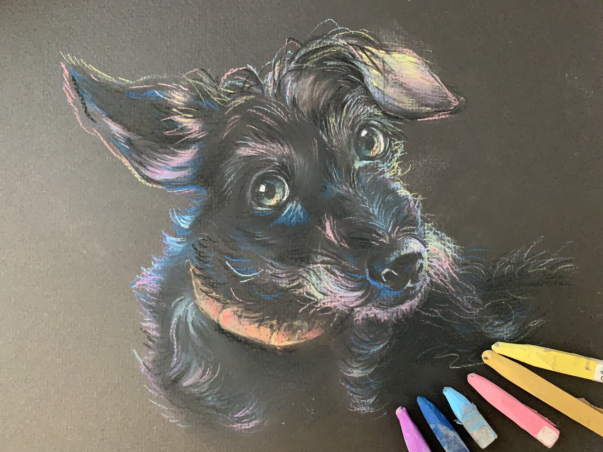 動物似顔絵 黒い紙に黒い犬を描く どうぶつ Art Works