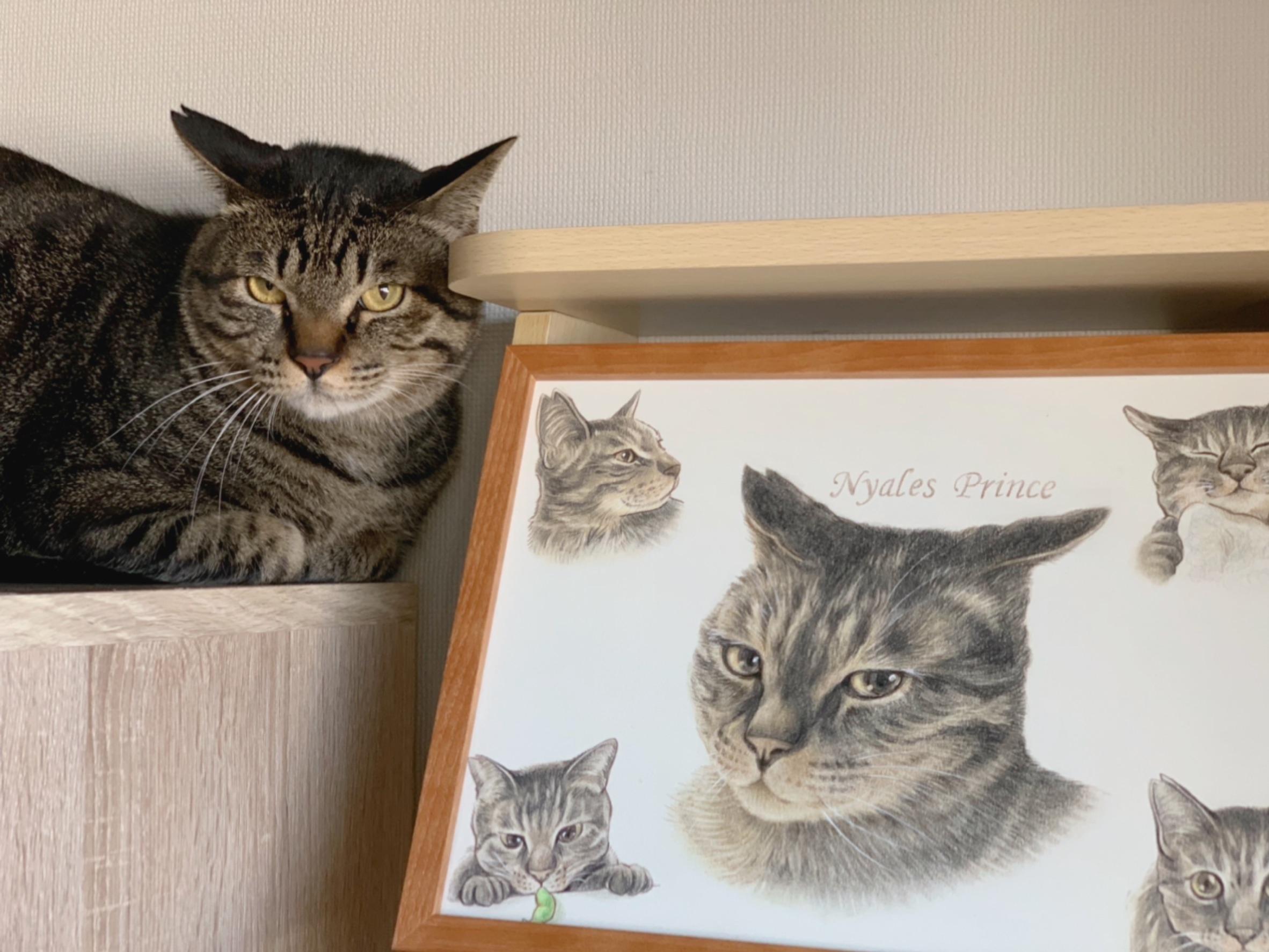 プロフィール  どうぶつ ART WORKS