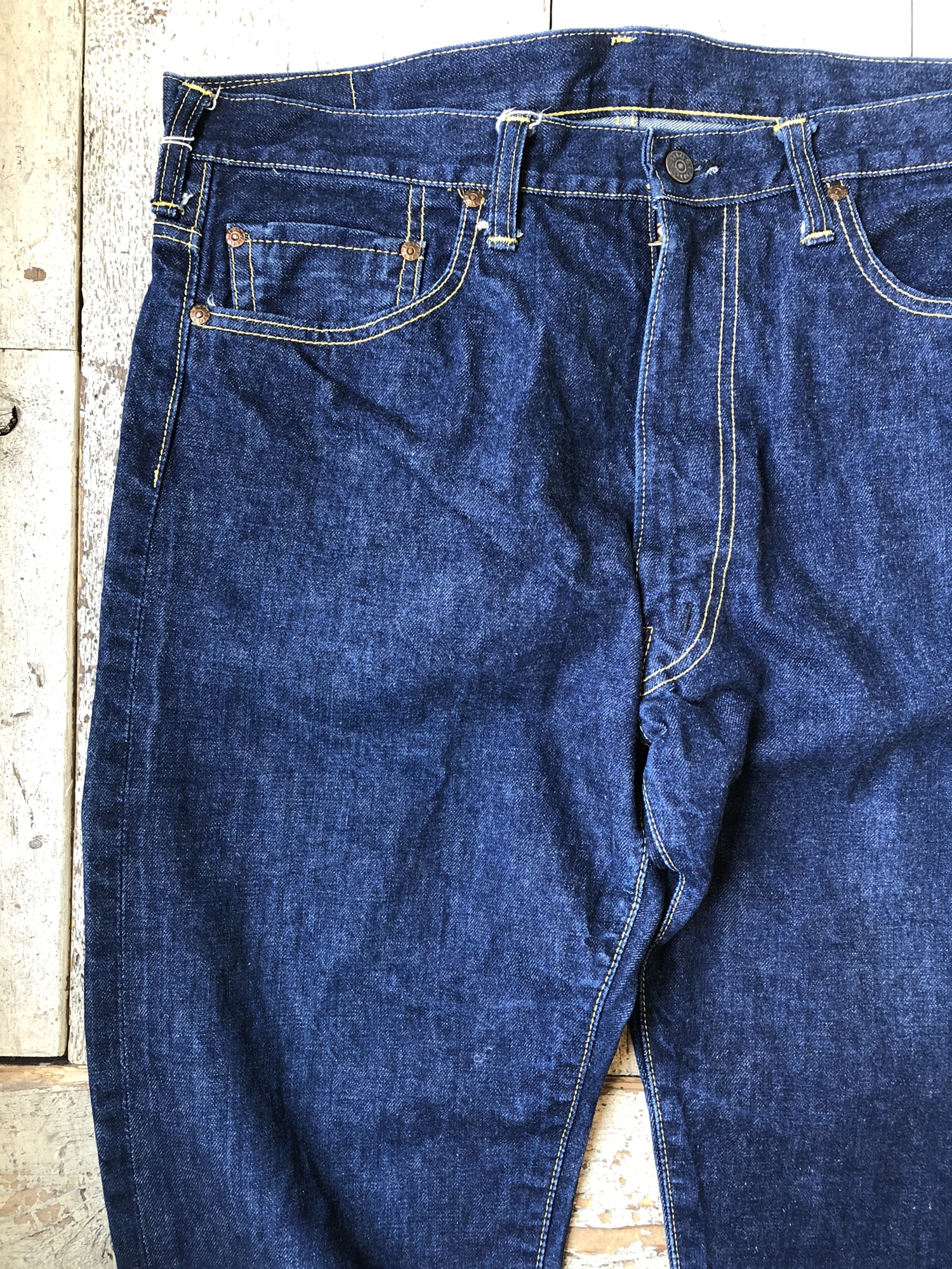 大石さん | BROWN TABBY