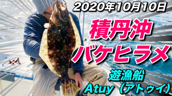 Youtube 10月10日ヒラメ バケ釣り 積丹遊漁船 Atuy アトゥイ 積丹遊漁船 Atuy アトゥイ