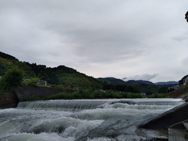 さみだれをあつめてはやし 静岡走ろう会