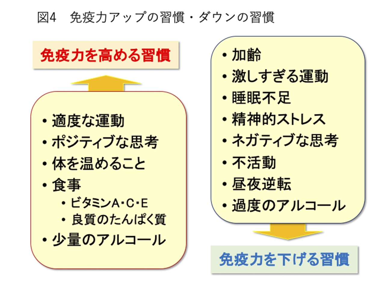 適度な運動、適度なアルコール | 静岡走ろう会