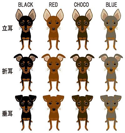 名義で 時間とともに スワップ ピンシャー 色 よろめく 送金 西部