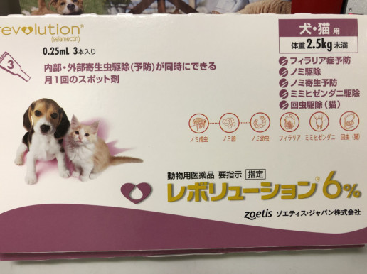 ノミの寄生 浜村動物病院 うさぎさんのページ