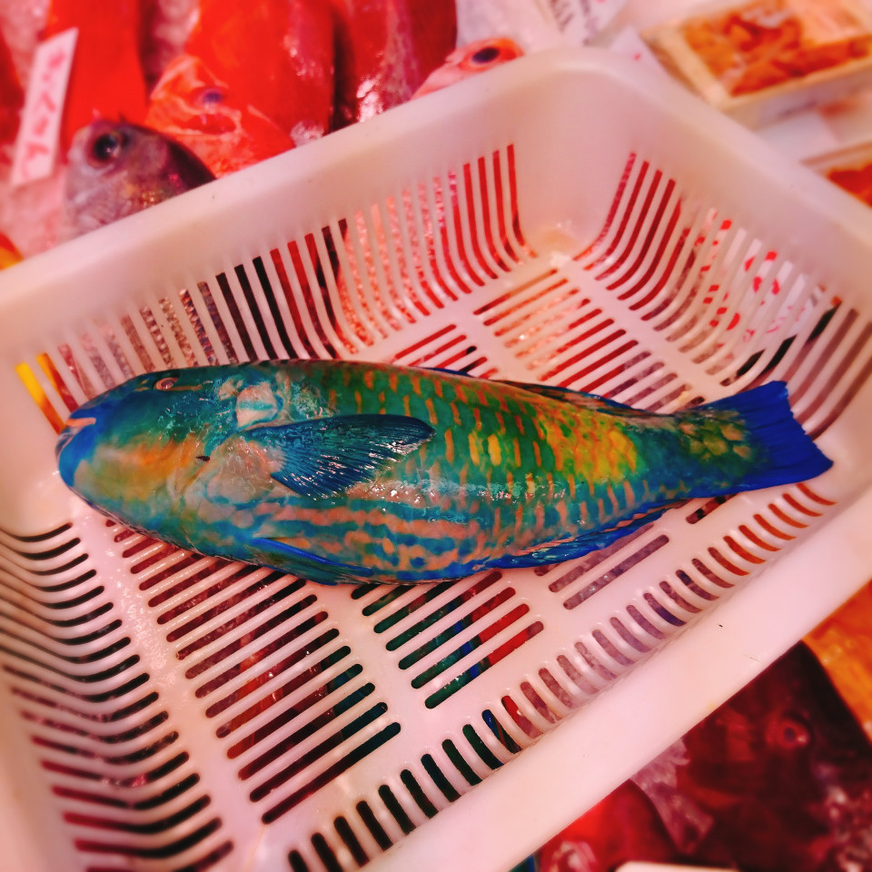 青い魚 さなはなキッチン