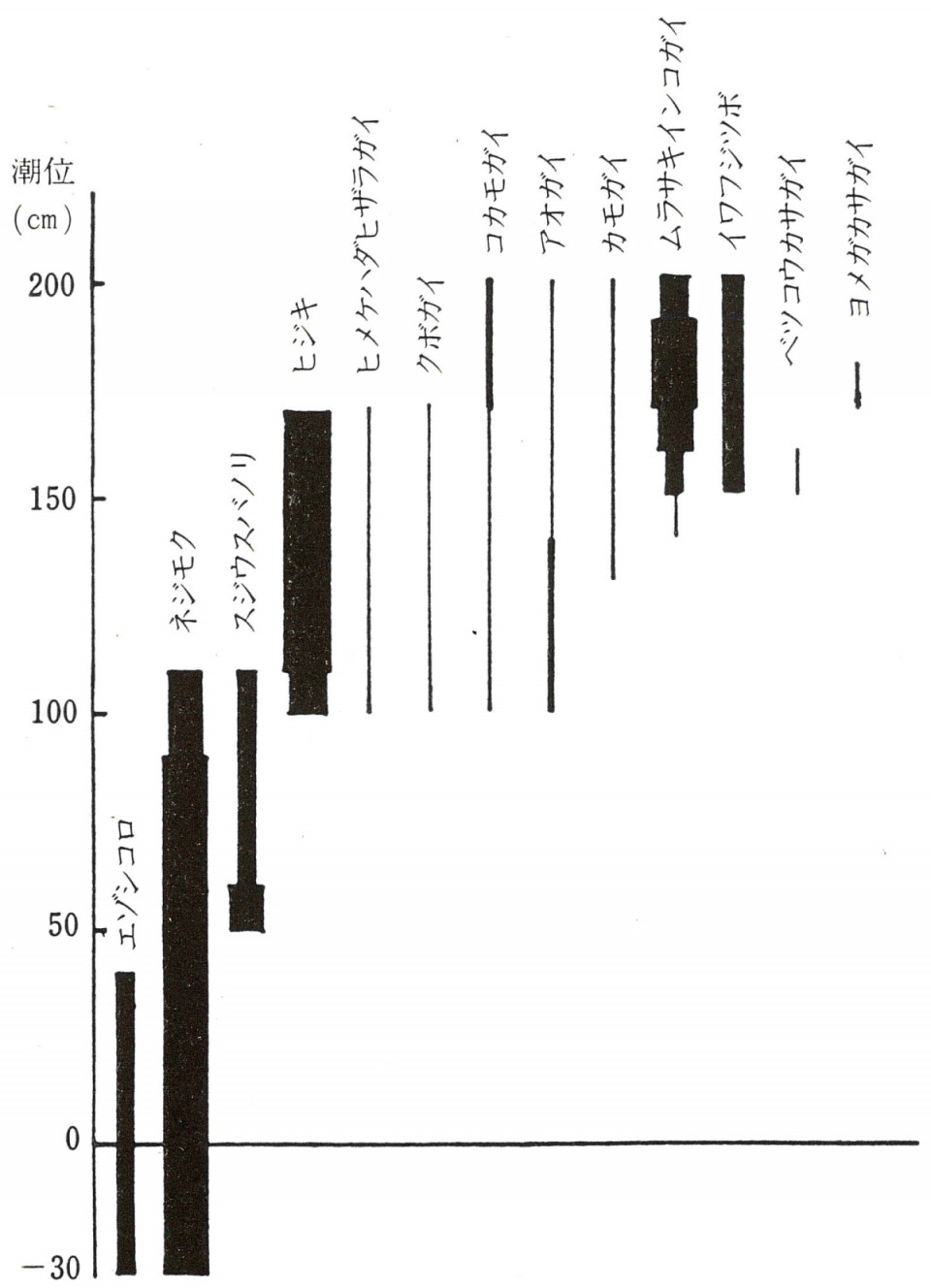 海産固着生物の分布と生態 海洋の生物 大洗町史 第2章第1節 Onca 大洗自然と文化アーカイブズ