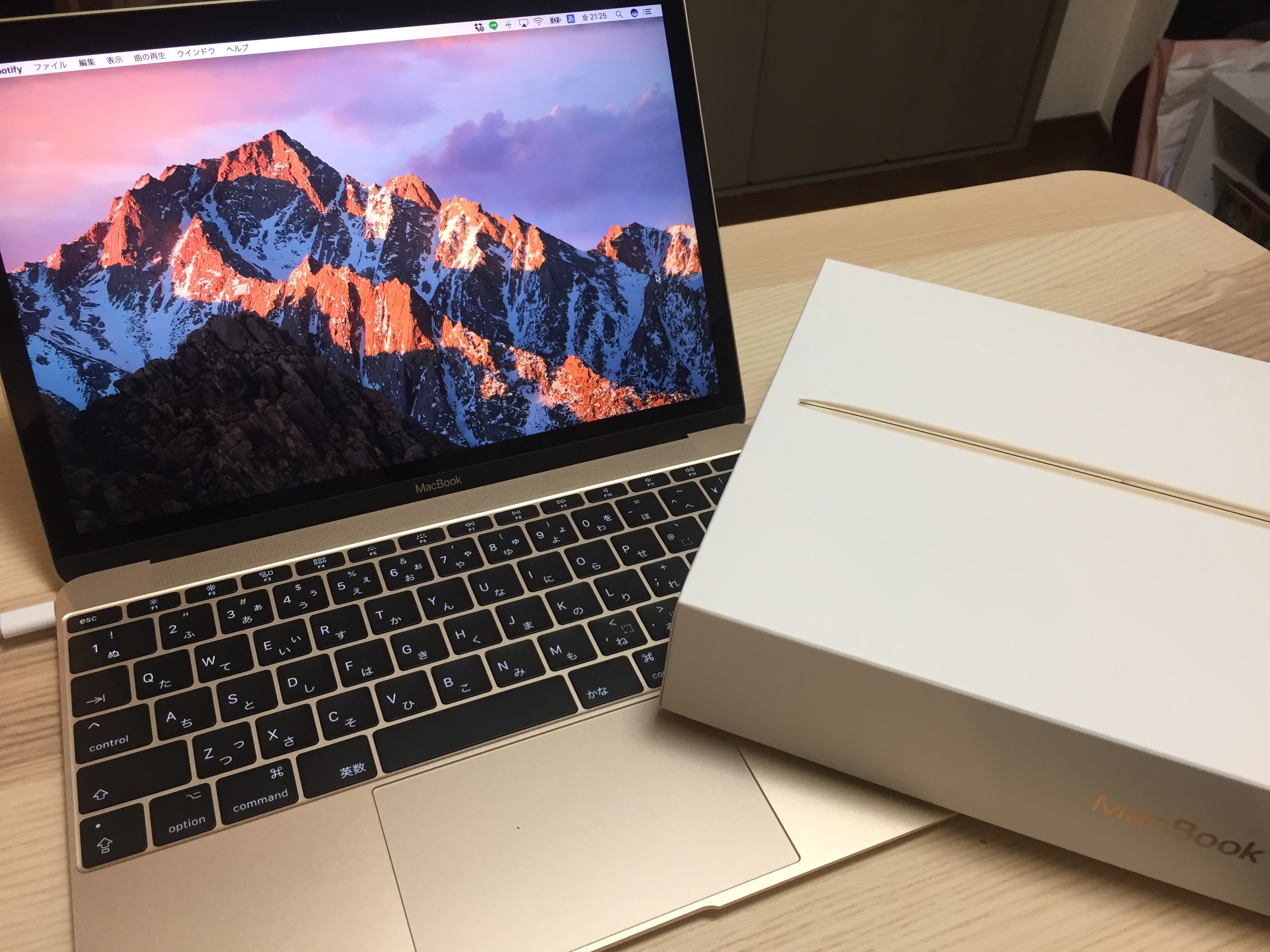 MacBook 12インチ256GBカスタマイズモデル (Early 2016)