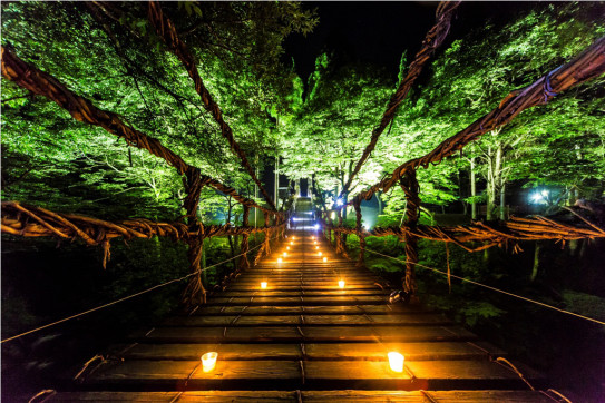 かずら橋のライトアップ 冠荘ぶろぐ