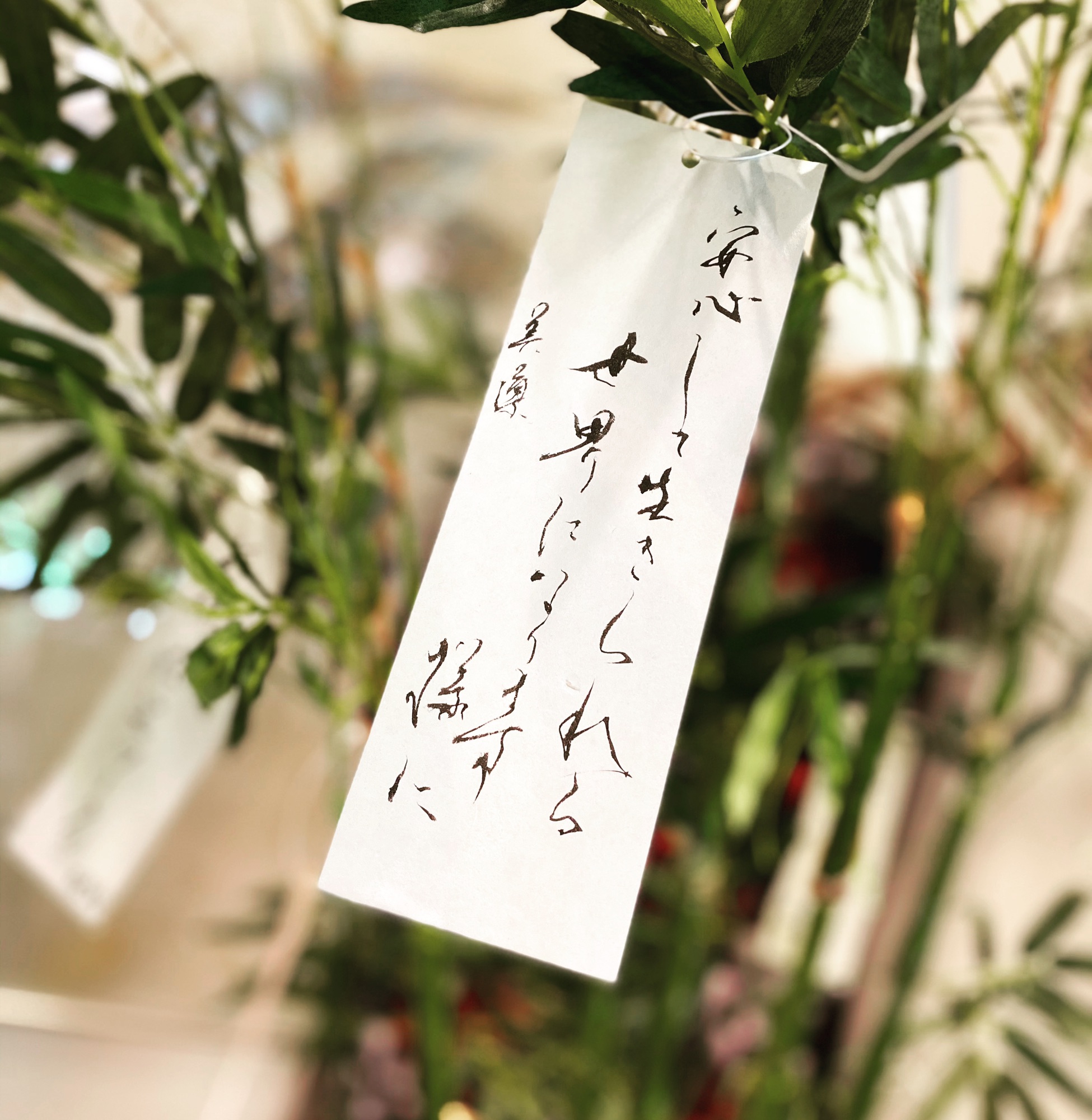 七夕短冊 | 港区田町芝浦 ふたばの凜書道教室