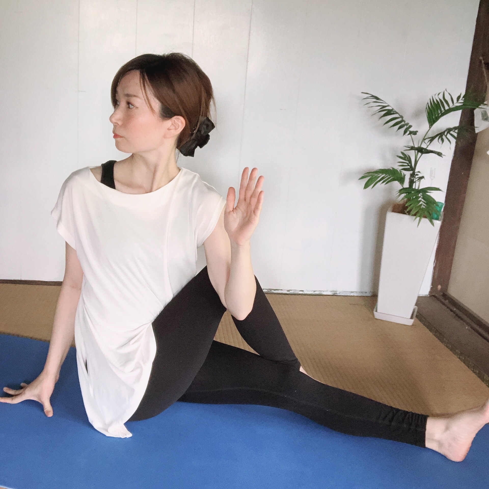 古民家ヨガお教室 息ぬきの場 月下美人 頴娃