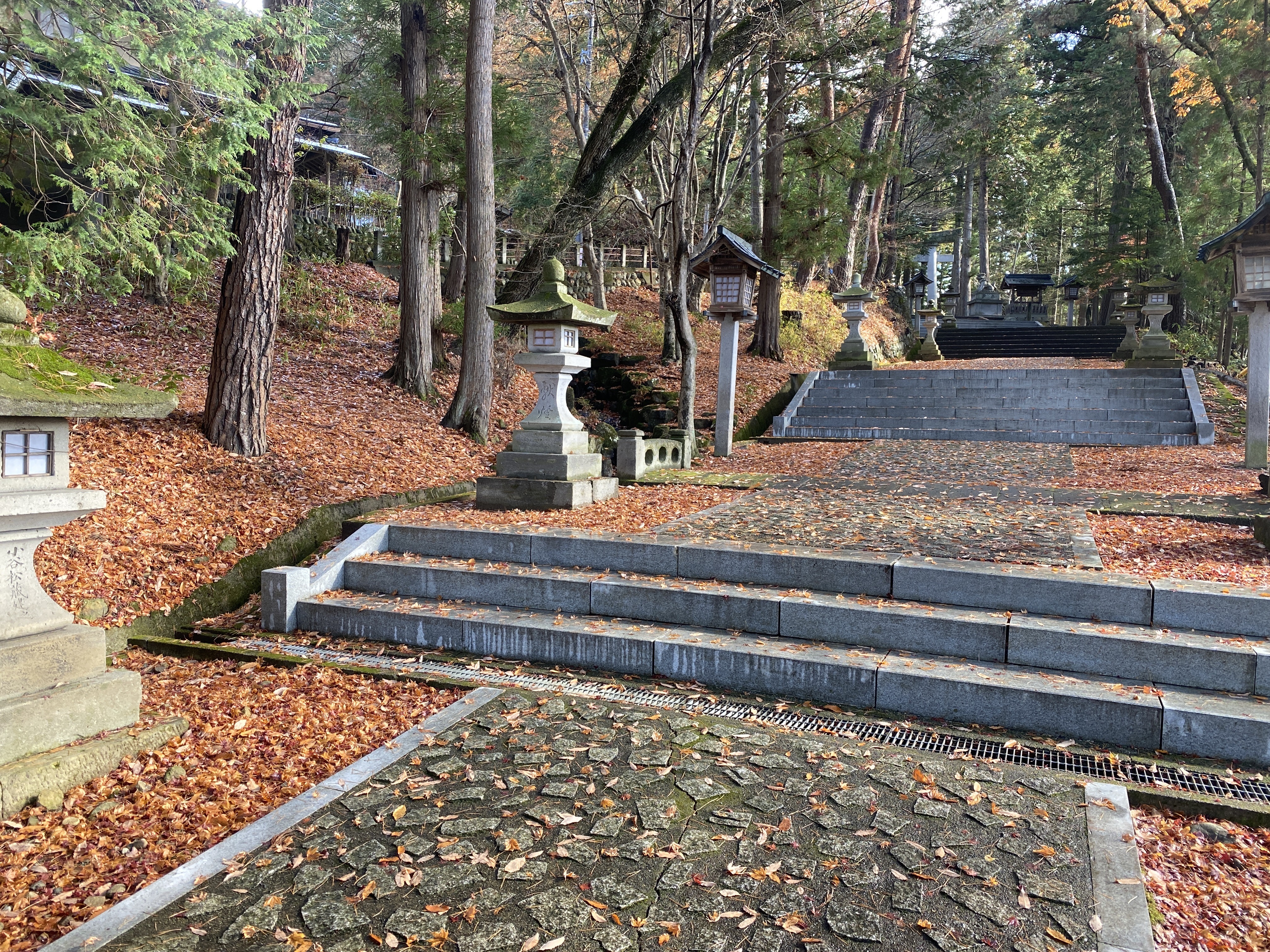 不思議なお賽銭箱 | 【公式】cafe 櫟 -Ichii-