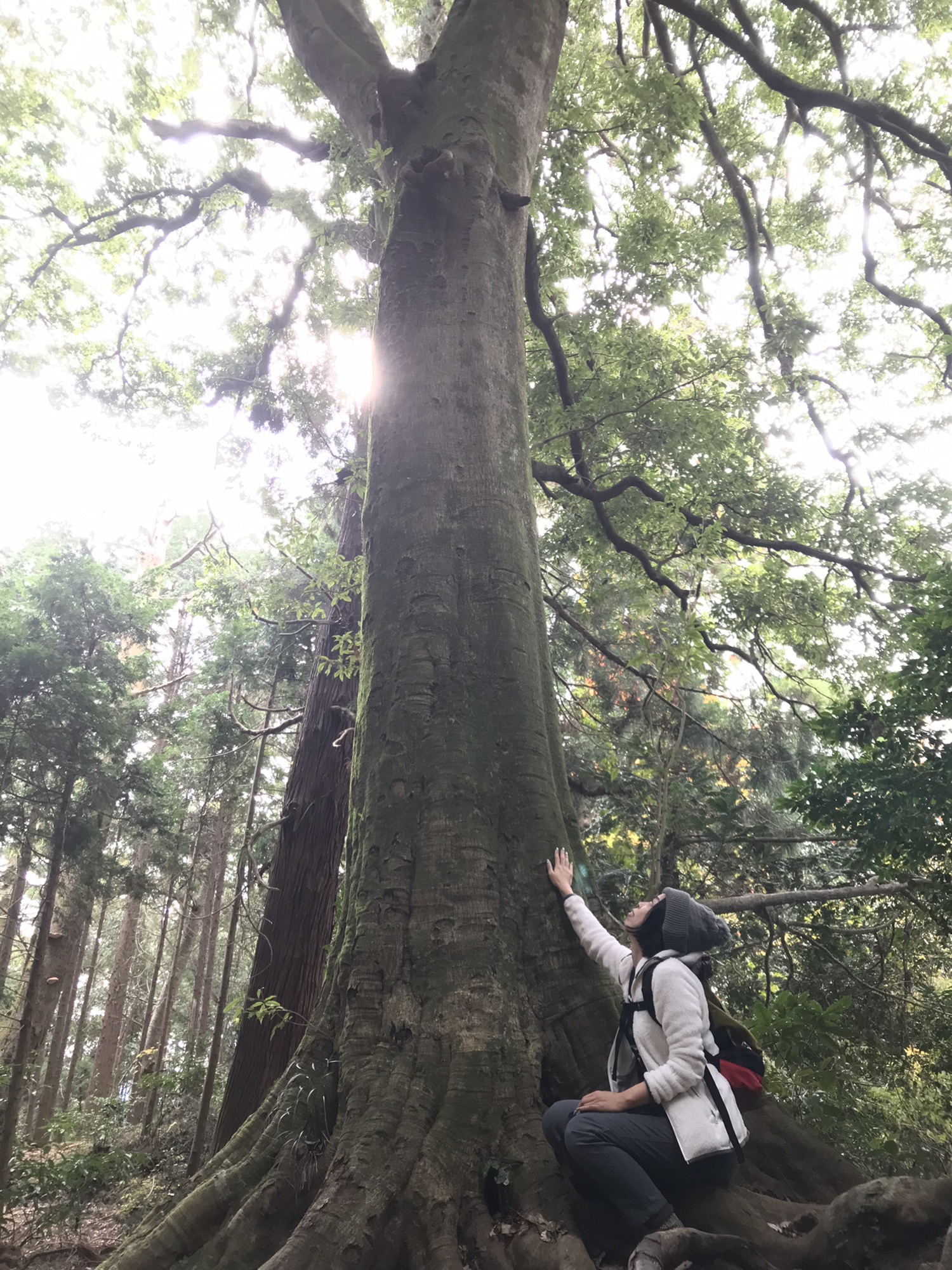 森の学校 開校 Nakine ３つのナキネ