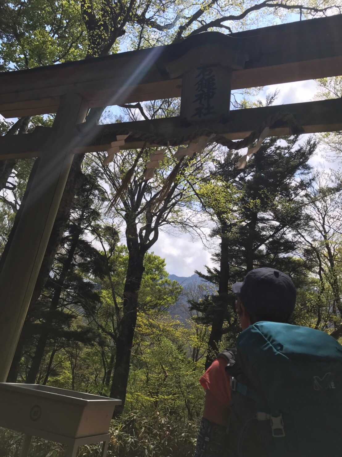 2019.5.12 四国 石鎚山 | nakine自然と遊ぶ.