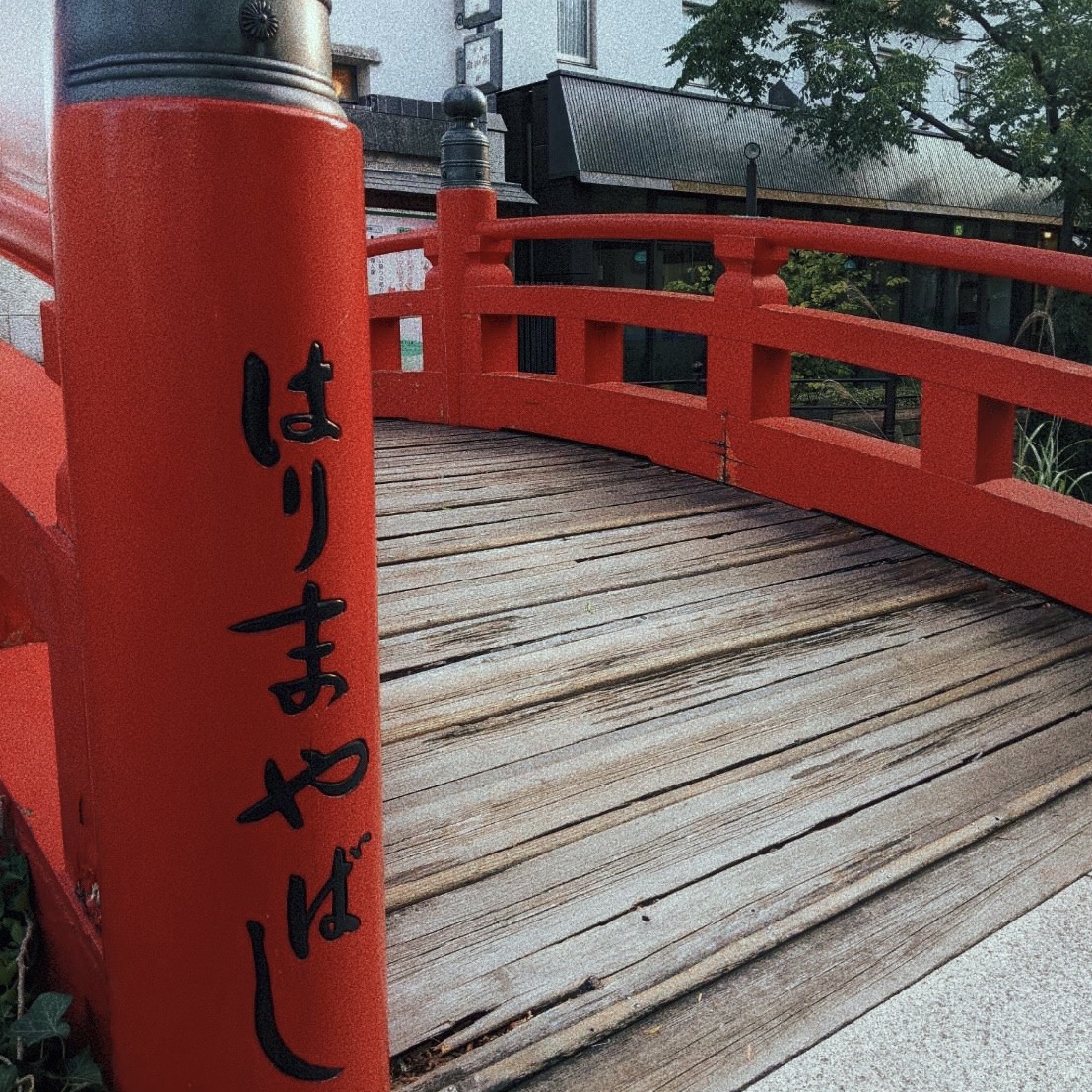 よさこい特別演舞 𝑻𝑯𝑬𝑨𝑻𝑹𝑬 𝑪𝑶𝑴𝑷𝑨𝑵𝒀