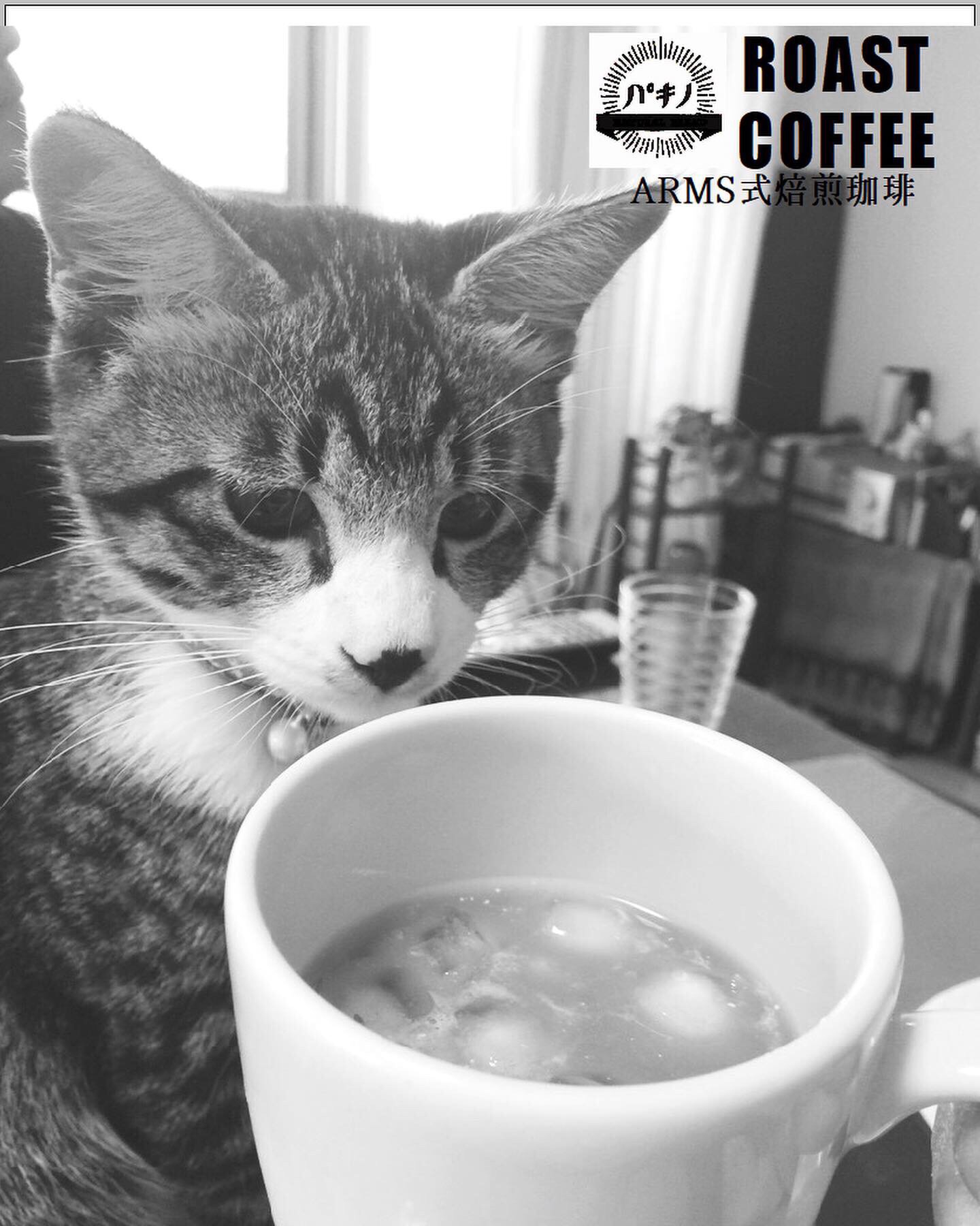 Roast Coffee パキノ