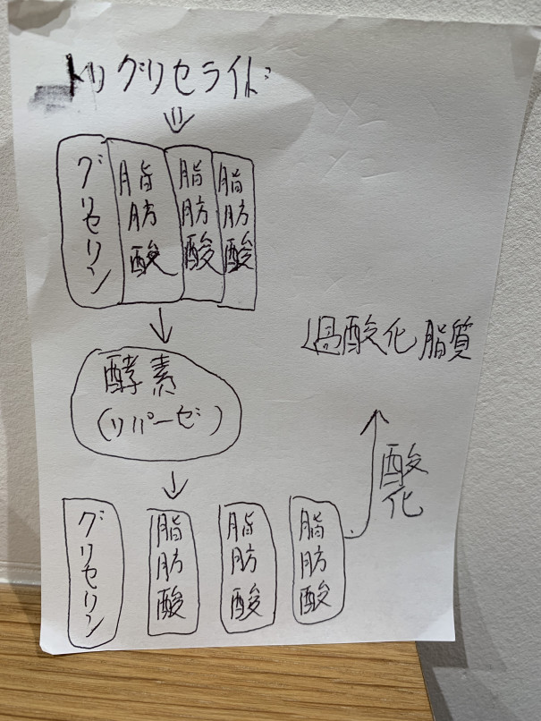 頭皮のかゆみの原因 平間の髪と頭皮に優しい美容院シャルール Chaleur