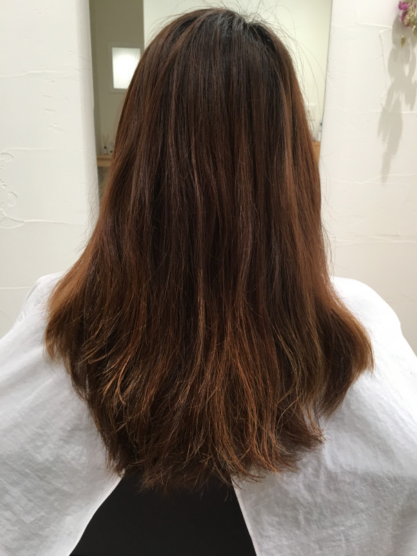 ビージェトリートメントとはちみつで艶髪 平間の髪と頭皮に優しい美容院シャルール Chaleur