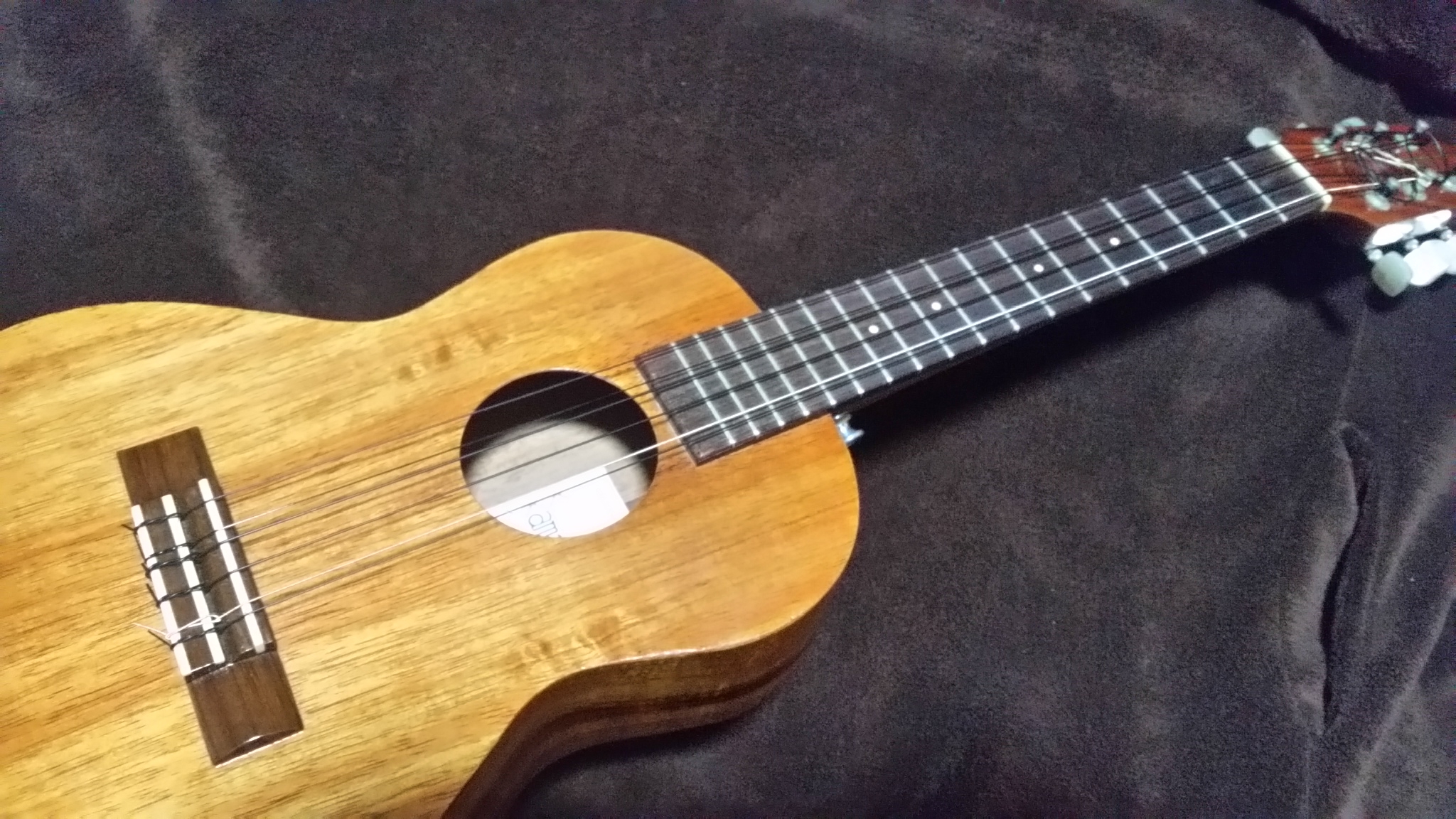 重厚サウンドが素晴らしい、6弦ウクレレ | Seika ukulele community