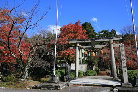 寺家公園 Photoalbum