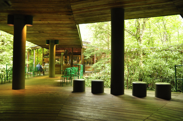 落水荘 Gsd World ハーバード大学建築 都市デザイン留学記