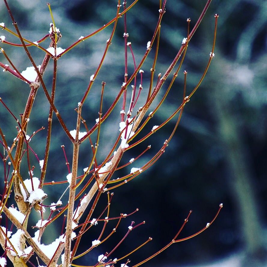 皆さんおはようございます(^^) 長山太一…”小さな小さな廊下のギャラリー”'s Ownd