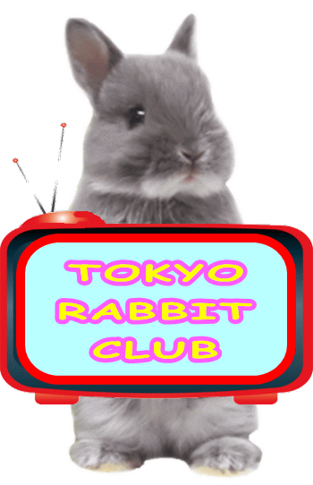Rabbit Etc Tokyo Rabbit Club