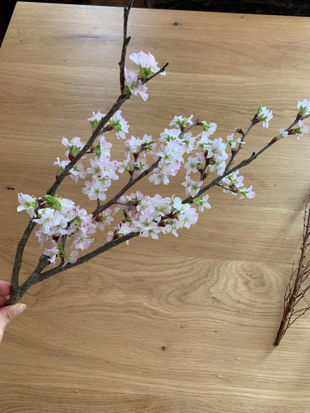暮らしの中のお花 咲いた姿から散る様子まで美しい花 サクラ 桜 おうちで飾って春を先取り ムクリ Mukuri