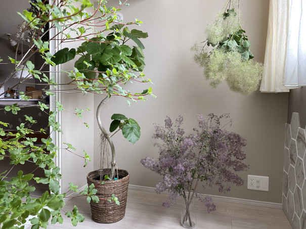 あの人の暮らしが素敵な理由 世界観が現れる森のようなリビング ドライフラワーに囲まれた暮らし Mocha Hさん ムクリ Mukuri