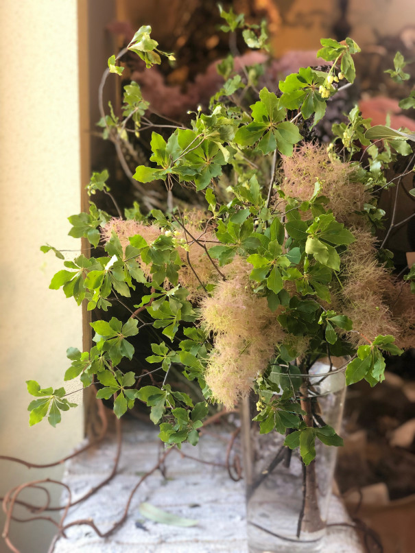 暮らしの中のお花 その季節 その瞬間 出会う旬をお持ち帰り 深緑の枝物を飾る Dotplusflowerさん ムクリ Mukuri