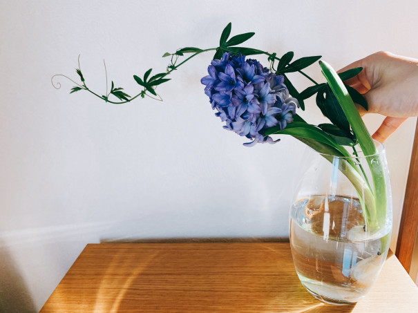 暮らしの中のお花 香りと共に感じる春の気配 色彩豊富な見応えのある人気のお花 ヒヤシンス ムクリ Mukuri