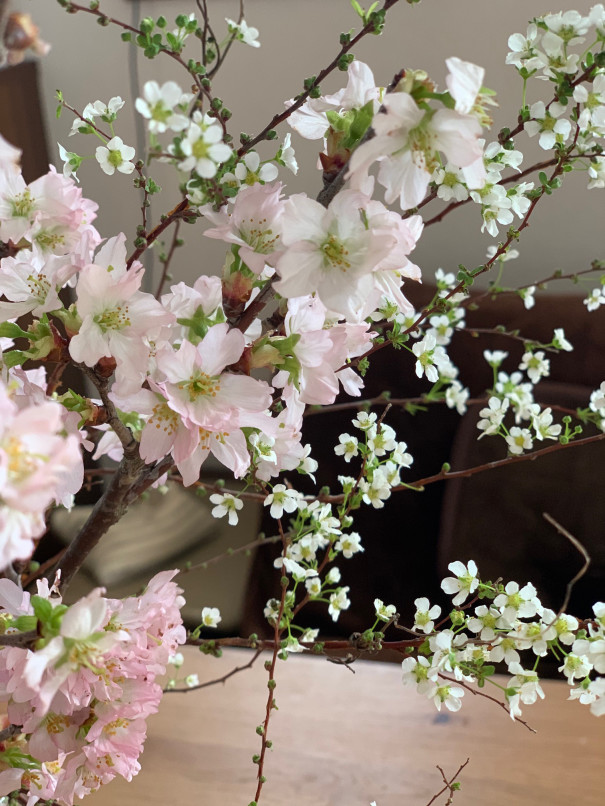 暮らしの中のお花 咲いた姿から散る様子まで美しい花 サクラ 桜 おうちで飾って春を先取り ムクリ Mukuri