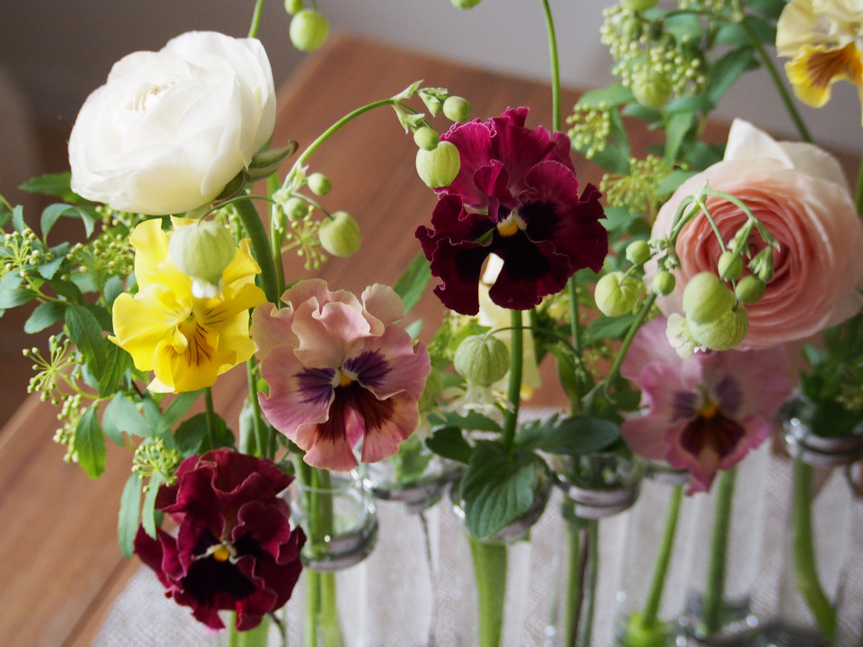 暮らしの中のお花 季節 春 のお花 パンジー Pansy ムクリ Mukuri 暮らしの中のお花 季節 春 のお花 パンジー Pansy ムクリ Mukuri