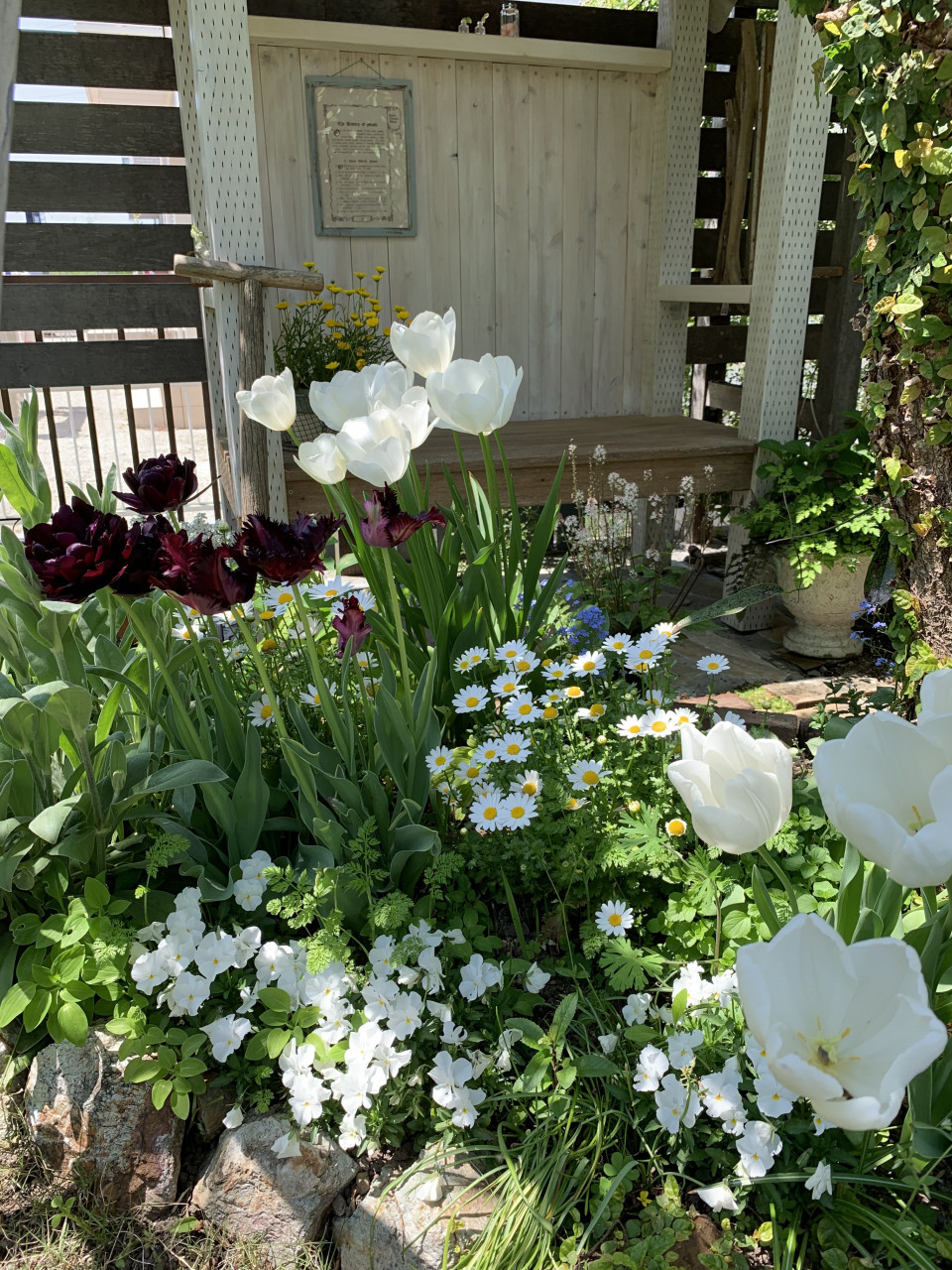 あの人の暮らしが素敵な理由 居心地の良い １７年目のお庭づくり 春の庭を楽しむ Shoko Gardenさん ムクリ Mukuri