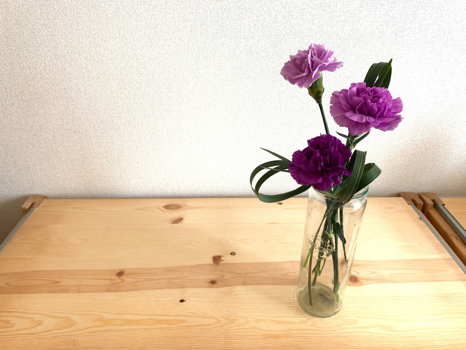 暮らしの中のお花 母の日はムーンダストで 永遠の幸福 を 長持ちさせる秘訣も添えて カーネーション ムクリ Mukuri