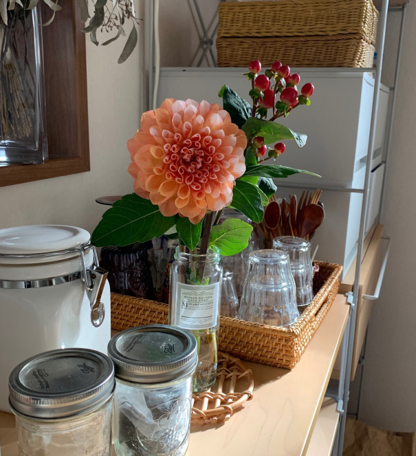 暮らしの中のお花 気品のある花姿は圧倒的な存在感 一輪でも豪華な秋のお花 ダリア ムクリ Mukuri 暮らしの中のお花 気品のある花姿は圧倒的な存在感 一輪でも豪華な秋のお花 ダリア ムクリ Mukuri