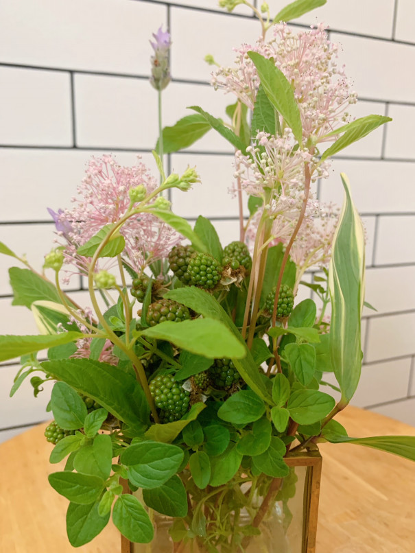 暮らしの中のお花 花言葉は 初恋の思い出 初夏に咲く 淡いピンク色のフワフワした花木 セアノサス マリーサイモン ムクリ Mukuri