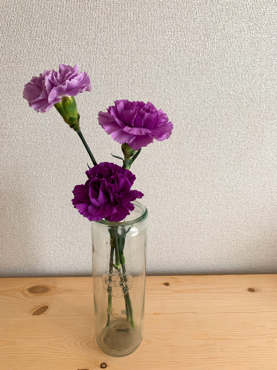 暮らしの中のお花 母の日はムーンダストで 永遠の幸福 を 長持ちさせる秘訣も添えて カーネーション ムクリ Mukuri