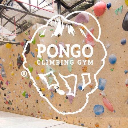 8月4日 金 宇都宮さんとpongo Climbing In China Seen From Japan