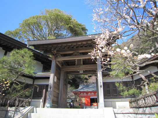 学問の神様 荏柄天神社 わかば通信 横浜市のタウン紙