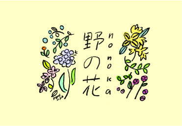 ご予約について 創作料理 野の花 Nonoka
