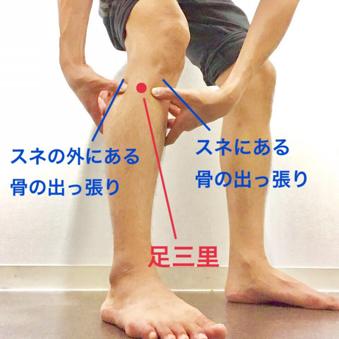 ふくらはぎの張り感 治療家パーソナルトレーナー柴雅仁のブログ 横浜 鶴見 川崎 蒲田 ふくらはぎの張り感 治療家パーソナルトレーナー柴雅仁のブログ 横浜 鶴見 川崎 蒲田